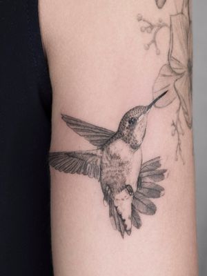 #tattoo #illustrationtattoo #illustration #ink #francetattoo #balmtattoo #inked #tattoos #vegantattoo #tattooartist #inkstagram #graphictattoo #tattooart #fineline #tatouage #tattoolove #tattoodesign #finelinetattoo #thebestattooartists #inkeeze #killerink #tatouagemagazine #tattoobird #tattoocolibri #colibritattoo #birdtattoo #balmtattooportugal #balmtattoo #balmtattooproteam #dragonbloodbutter #besttattooaftercare #anitalasainte