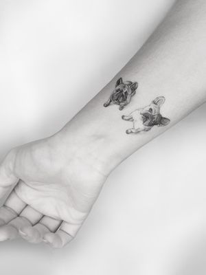  #tattoo #illustrationtattoo #illustration #ink #francetattoo #balmtattoo #inked #tattoos #vegantattoo #tattooartist #inkstagram #graphictattoo #tattooart #fineline #tatouage #tattoolove #tattoodesign #finelinetattoo #thebestattooartists #inkeeze #killerink #tatouagemagazine #balmtattooportugal #balmtattoo #balmtattooproteam #dragonbloodbutter #besttattooaftercare #microrealism #anitalasainte #dogtattoo #pettattoo #perrotatuaje #bullgogtattoo #tatuaje #cutetattoo #miniportrait