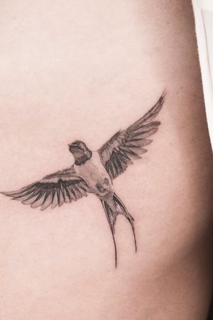 #tattoo #illustrationtattoo #illustration #ink #francetattoo #balmtattoo #inked #tattoos #vegantattoo #tattooartist #inkstagram #graphictattoo #tattooart #fineline #tatouage #tattoolove #tattoodesign #finelinetattoo #thebestattooartists #inkeeze #killerink #tatouagemagazine #tattoobird #birdtattoo #balmtattooportugal #balmtattoo #balmtattooproteam #dragonbloodbutter #besttattooaftercare #anitalasainte