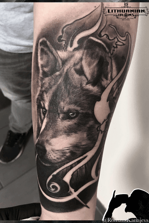 Wolf tattoo, Cologne Köln Germany ! Stigmata-inc contact start Instagram @Romanskanajevs or tattoobyromans@gmail.com 