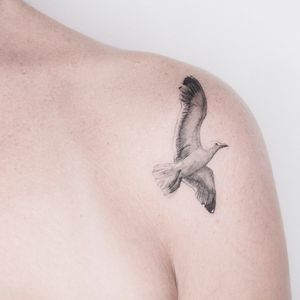 #tattoo #illustrationtattoo #illustration #ink #francetattoo #balmtattoo #inked #tattoos #vegantattoo #tattooartist #inkstagram  #graphictattoo #tattooart #fineline #tatouage #tattoolove #tattoodesign #finelinetattoo #thebestattooartists #inkeeze #killerink #tatouagemagazine #tattoobird #tattoocolibri #colibritattoo #birdtattoo #balmtattooportugal #balmtattoo #balmtattooproteam #dragonbloodbutter #besttattooaftercare #anitalasainte #birdtattoo #pájarotatuaje #singleneeddletattoo #art