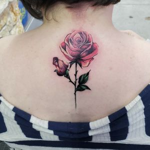 #tattoo #cooltattoos #fortworthartist #dallasartist #burlesontattoos #texastattoos #blackandgreytattoo #colortattoo #floral #flower #watercolortattoo #texasartist #inkedchick  #realism #disney #flowers #rose #rosetattoo 