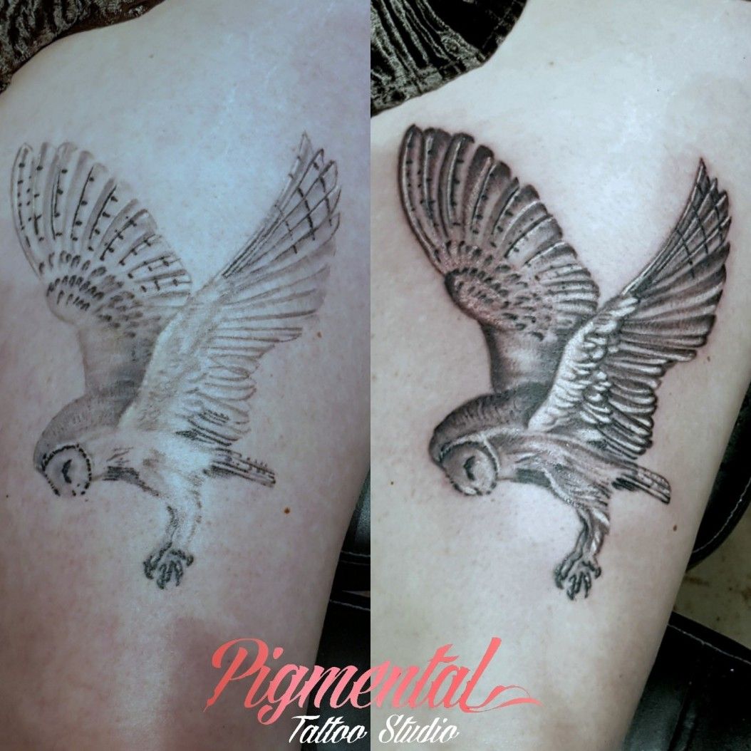 flying barn owl tattoo  Google Search  Barn owl tattoo Owl tattoo Owl  artwork