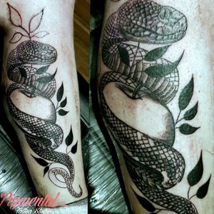 Snake and Apple Tattoo - In Progress Looking for to finishing this one 👍 #Snake #SnakeTattoo #AppleTattoo #SnakeAndApple #ApplesAndSnakes 