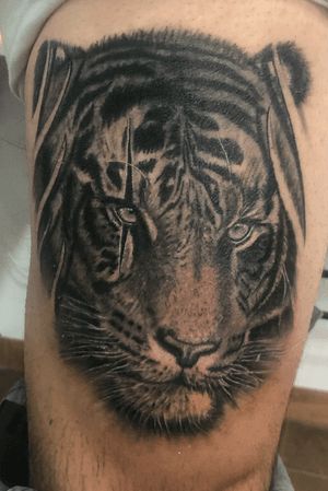 Tiger tattoo #tiger #realism #blackandgrey #naturetattoo #animaltattoo