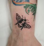Detailed Bee