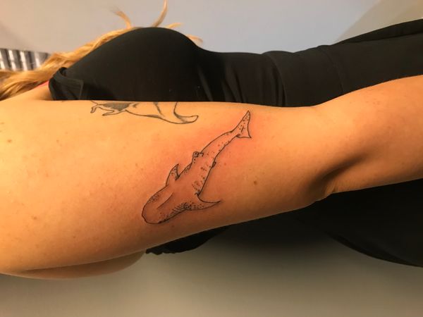Tattoo from Steven 