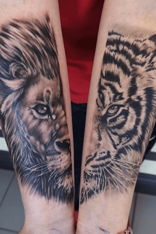 10  Best Half Lion Half Tiger Tattoo Designs  PetPress