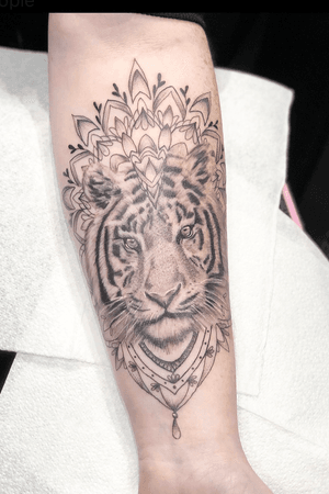 Tiger portrait mandala 