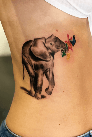 Elephant with rose lily and butterfly 