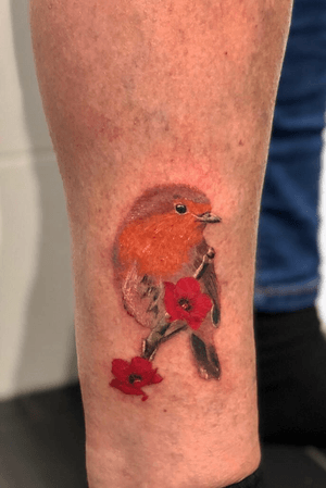 Tiny robin and poppy 