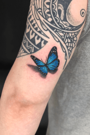 Blue butterfly #butterfly #butterflytattoo #3dbutterfly 