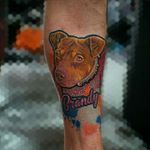 Did a colour dog portrait. 》》》》》》》》》》》》》》》 #tattoo #animals #animal #tattoos #tattooed #tattooartist #tattooart #animallovers #tattoolife #animallover #tattooist #tattooing #animalsofinstagram #tattoodesign #dogportrait #dogportraits #dogportraittattoo #dogportraitartist #dogportraitsofinstagram #dogportraiture #hellotattoomed #crocarttattooaftercare #inkjecta #killerinktattoosupplies #truegentcartridges #fusionink #tattoodo @ Lost Soul Society Tattoo