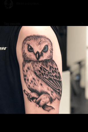 Owl portrait #owl #owltattoo