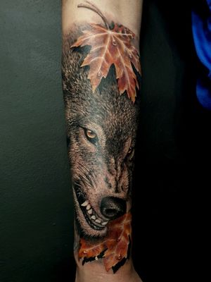 Wolf done not long ago, sleeve in progress!#wolf #mappletree #leaf #autumn #vibe #wolftattoo #realism #blackandgrey #color 