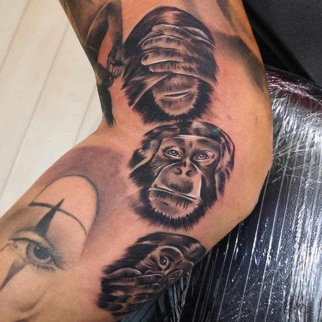 Discover 58+ monkey see monkey do tattoo