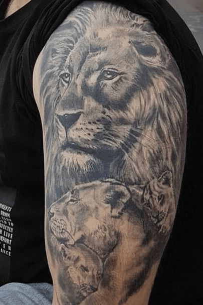 Pride Lion Tattoo Stock Illustrations  4291 Pride Lion Tattoo Stock  Illustrations Vectors  Clipart  Dreamstime