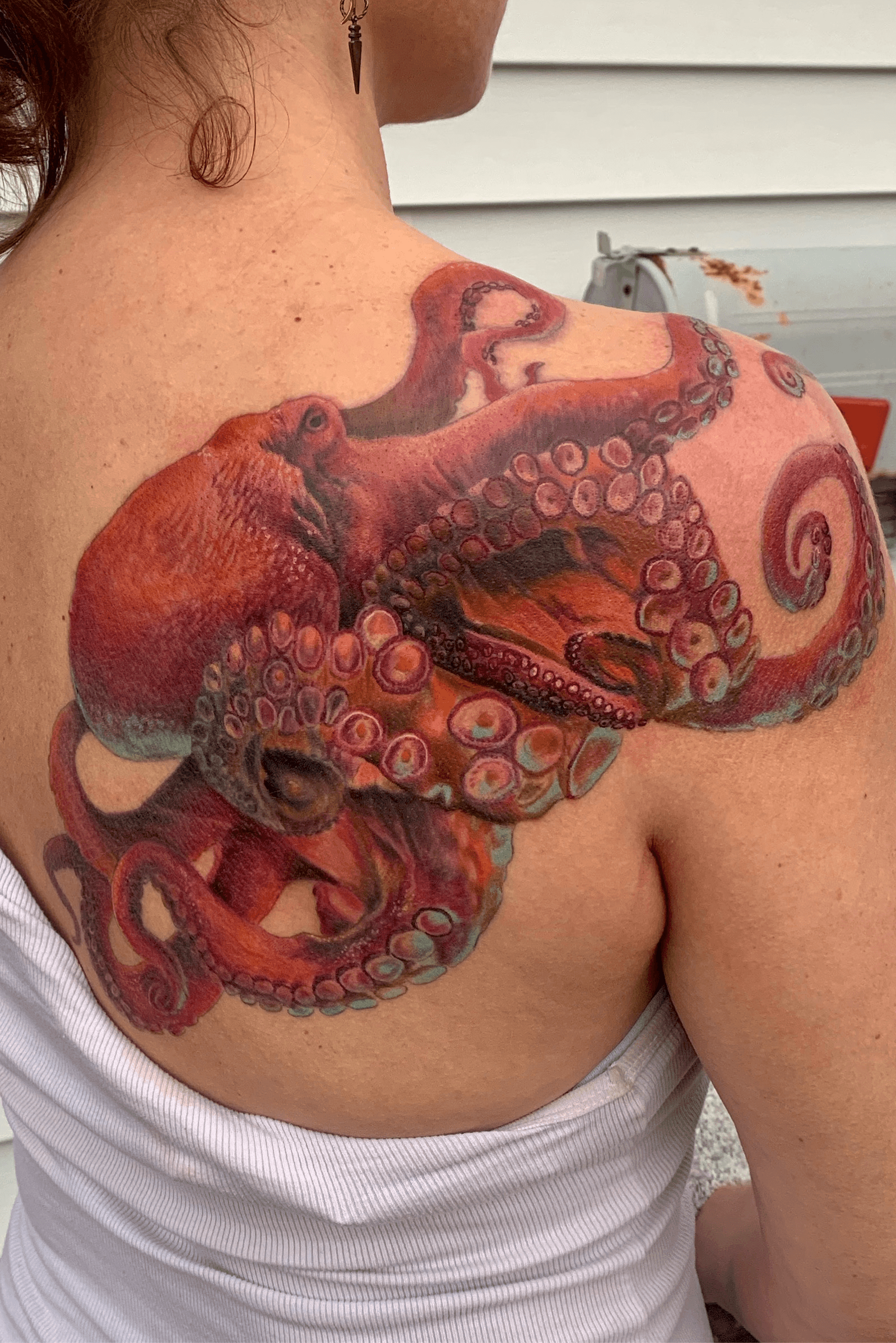 two days in a row octopus octopustattoo tattoo tattoos color  tattooart art artist realism realistictattoo ink inked inkedup   Instagram