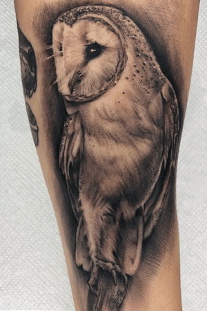 Black and gray owl tattoo 