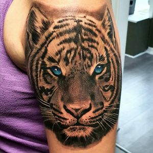 Tiger I did a while back