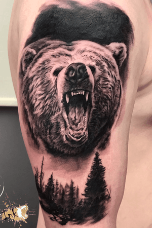 Bear cover up 