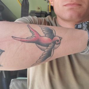 Traditional Swallow Tattoo 