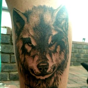 #wolf #portrait #calf #blackwork