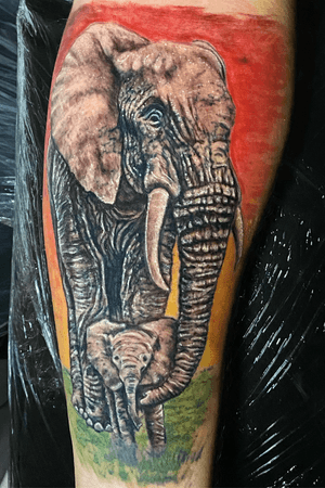 Elefante tattoo cotizaciones 71543382 