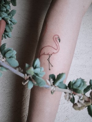 #tattoo #tattooart #flamingo #flamingotattoo #statattoo #smalltattoos #minimal #minimalism #pink #inked #inkedgirls #bishoprotary #linework #linkeworktattoo 