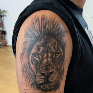Lion first session 