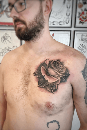 Rose. Cover up. 