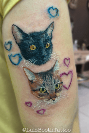 Cat Lovers - #cat #pet #gato #petfriendly #colorrealism #realismocolorido #animal #love 