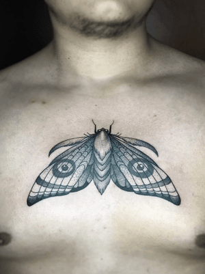 Moth tattoo by Valeri Herrera #ValeriaHerrera #moth #wings #neotrad #illustrative #eyes #chest