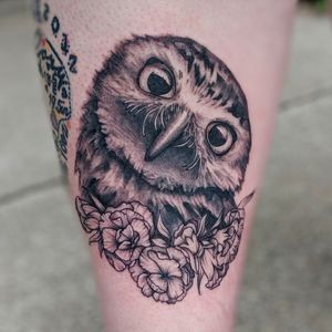 Realistic Black and Gray Owl Carnations Tattoo