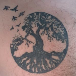 My first tattoo, tree of life, it has a meaning to me and I am watching forward for the next a lot bigger tattoo on my whole left arm.