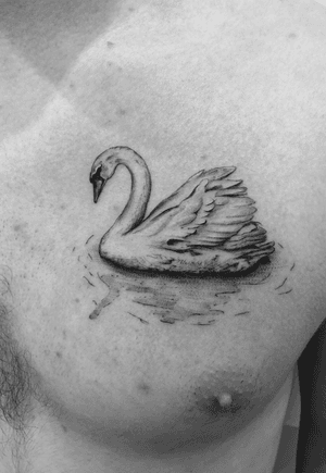Swantattoo #tattoos #tattoo #ink #inked #tattooartist #tattooed #art #tattooart #tattoolife #tattooing #tattooist #artist #swan #fineline #detailed #minimalist 