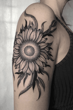 Sunflower 🌻🌿 ‪_________________________________________________ ‬ 🌿 ingridimoreiraa@gmail.com ‪#blackworkerssubmission #darkartists #btattooing #blacktattooart #blackwork #tattooistartmagazine #blacktattoomag #tattooculturemagazine #onlyblacktattoos #tattoo #sketch #equilattera #inkedmag #tattrx #inkstinct #tattooinkspiration #insanetattoos #tattoodo #thebesttattooartists #blackworkbrasil #radtattoos #theartistthemotive #iblackwork #blacktattoomag #onlyblackart #botanical #flowers‬ #sunflower