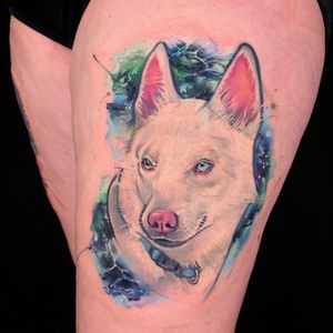 Dog Portrait #tattoosbyjorell #watercolor #watercolortattoos #watercolourtattoos #watercolors #watercolortattooartist #dog #dogportrait #SpaceTattoos #spacetattoo 