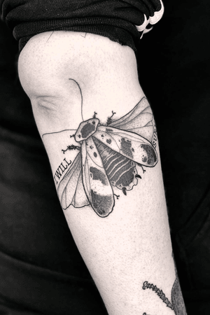 -BLABERUS GIGANTEUS-The Central American giant cave cockroach, done on @gurmylicious arm! 👀 With the I will survive script, to remind us that we can survive in the adversity and difficult times.Thanks again for the opportunity and trust 💪🏿💪🏿💪🏿...For more tattoos you can find me .@thetattoogarden in The HagueOr@motorinktattooshop in Amsterdam...For more info send a DM📩....🙏🏿🙏🏿🙏🏿...#insects #entomology #entomologyart #blaberusgiganteus #dotworktattoo #blackworkerssubmission #darkartists #thedarkestwork #blackmasterink #artesobscurae #tattrx #onlythedarkest #blackworkershero #amsterdam🇳🇱 #thehague #art #motorink #thetattoogarden #blackmasterink #anatomydrawing 