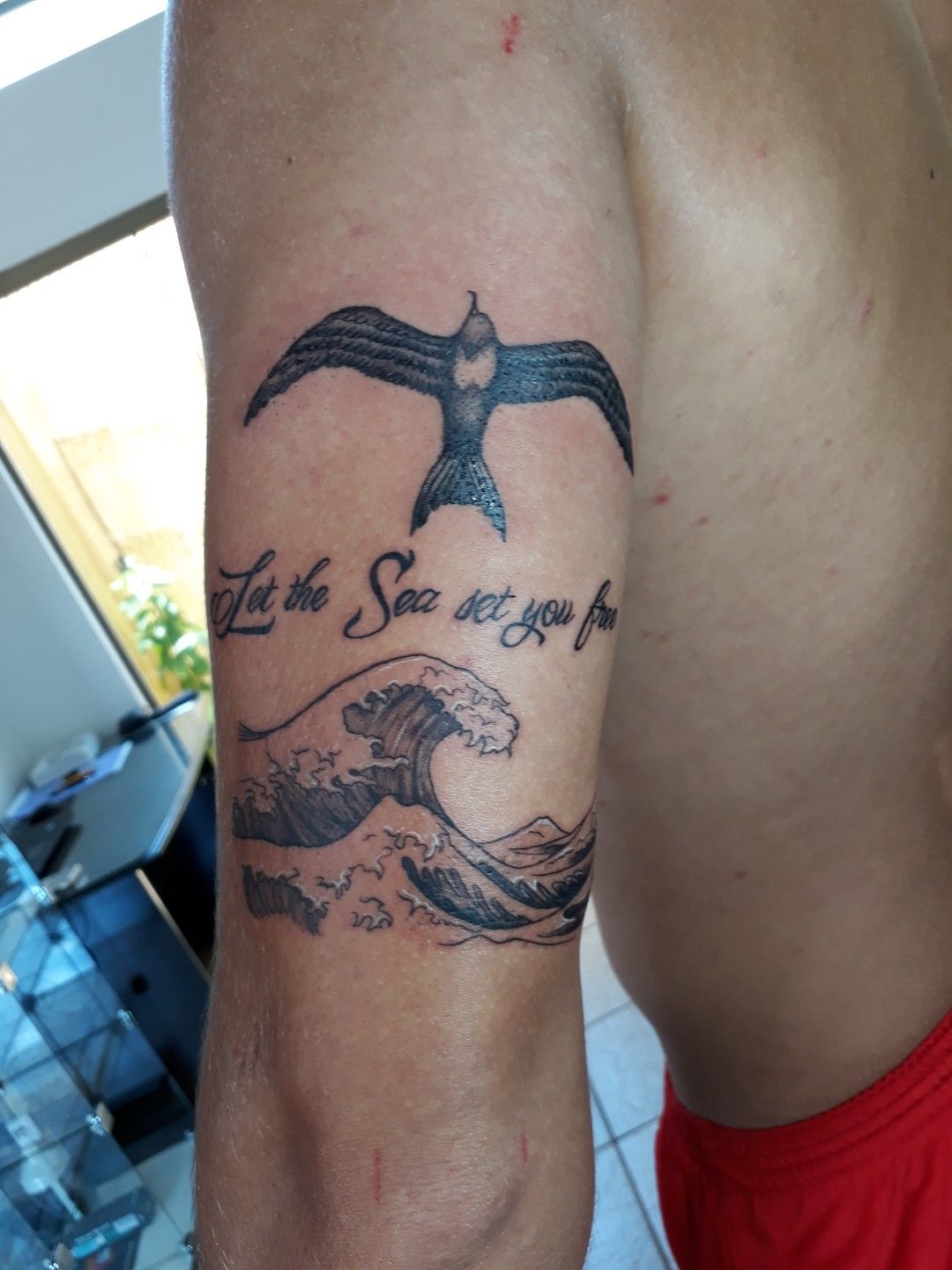 Learn 78 about albatross tattoo can yaman super cool  indaotaonec