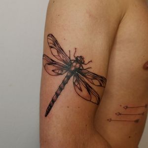 Dragonfly and arrows #dragonfly #peppershading 