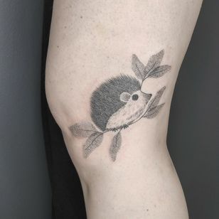 Hedgehog tattoo by Vivian Turini #VivianTurini #hedgehog #hedgehogtattoo #porcoespinho #dotwork #dotworktattoo #animal #plants #kneetattoo 