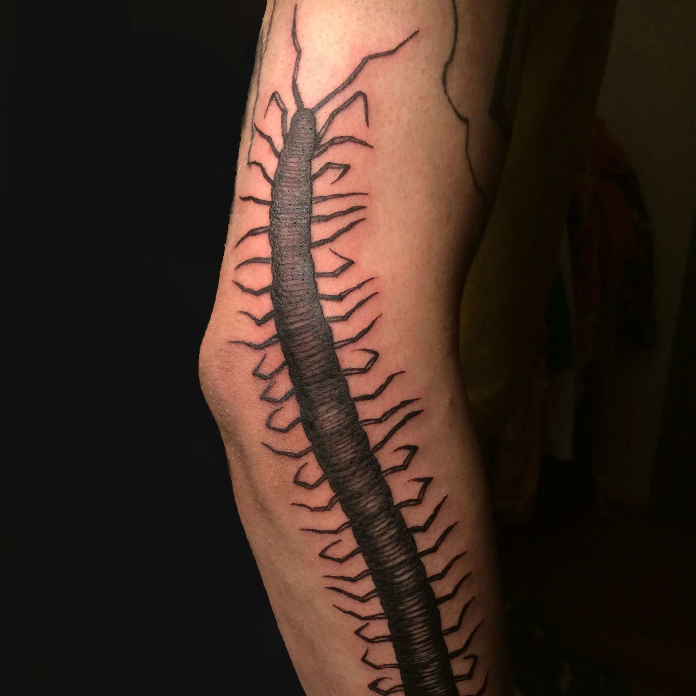 Tattoo uploaded by holohlava tattoo  centipede centipedetattoo  blackwork prague czech black horror praha  Tattoodo