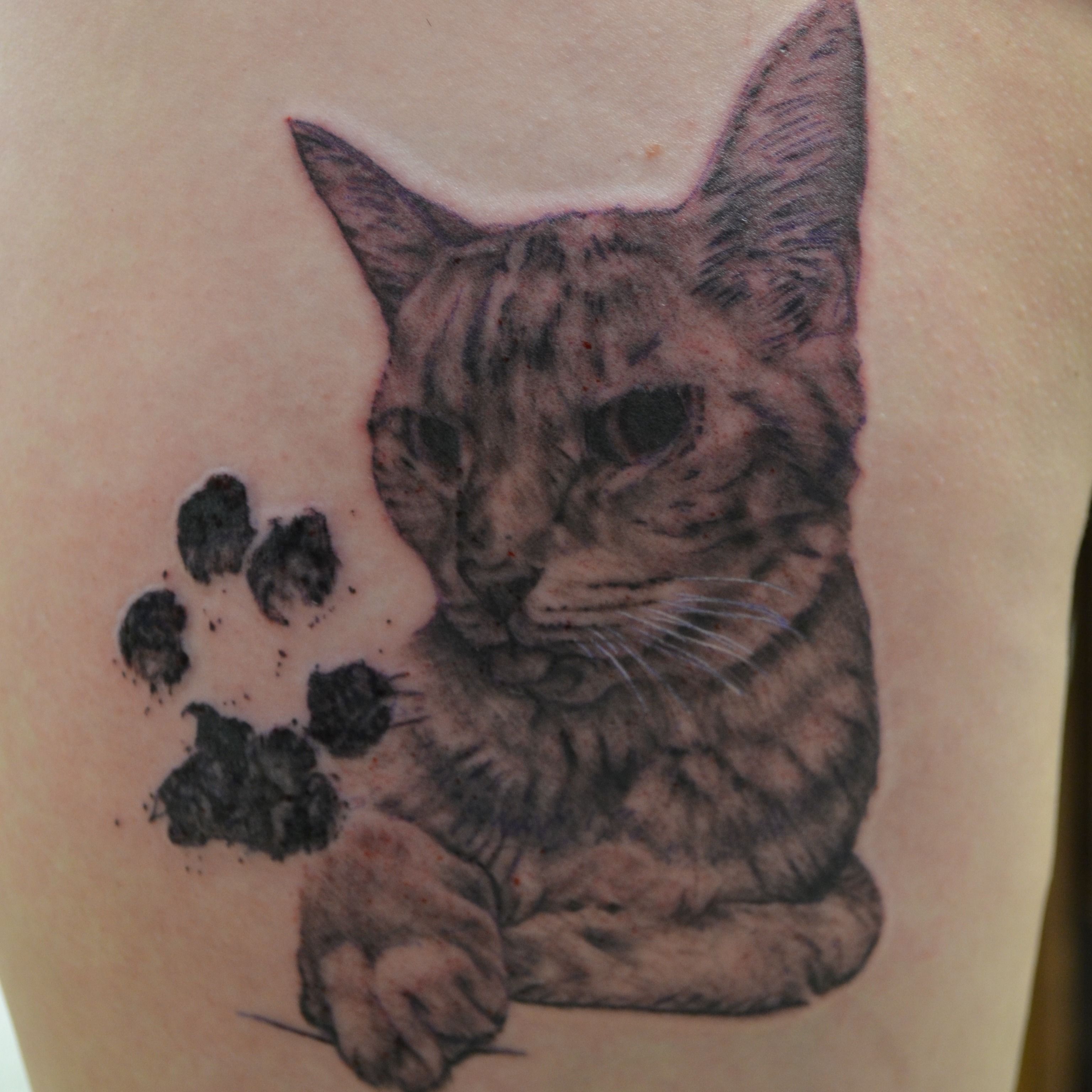 Tattoo uploaded by nickweavertattoos  Water color cat paw prints   Tattoodo