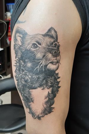 Doggy portrait, first session tbc