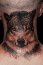 Realistic Wolf back of the head