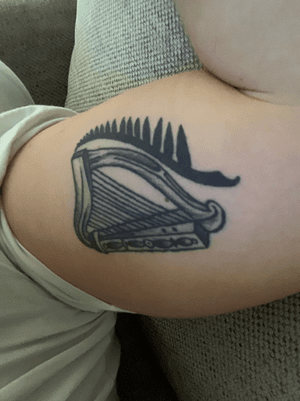My 1st Tattoo that I had done in Auckland, New Zealand! The Irish Harp with the All Blacks Ferne.