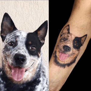 Trabalho autoral e experimental feito pelo tatuador: @vinifernandes81 A pedido da minha grande amiga @simoneballbino que gostaria de deixar marcado na pele o seu amor pelo seu cachorro #🐶 Bairon(Byron) estampado na pele por uma Tattoo. Obrigado pela confiança em minha arte. #photo #portrait #painting #drawing #tattoo #dog #madmax #burriler #pets #pet Equipamentos: #machines : @carbynetattoo #powerfull : @criticaltattoosupply #inktattoo : @viperinktattoo #biqueirasdescartáveis Blade: @grupo_amazon #aftercare : @reillytattoobr #usocarbyne #sketchtattoo #aquarelatattoo #watercolor #wolf #sketch Equipamentos: #machines : @carbynetattoo #powerfull : @criticaltattoosupply #inktattoo : @viperinktattoo #biqueirasdescartáveis Blade: @grupo_amazon #aftercare : @reillytattoobr #usocarbyne #sketchtattoo 