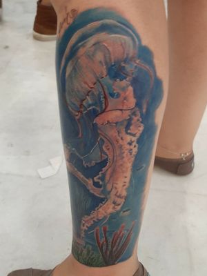 Tatuaje de medusa #jellyfishtattoo #mexico 