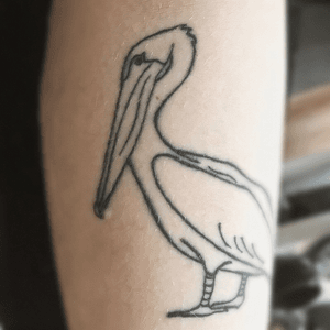 my first tattoo. it’s a pelican. it’s my favorite plushie i got the day i was born and took with me everywhere. this is kind of my way of still taking him with me everywhere even as an adult
